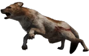 FC4 Animal (37).png (80 KB) Tenzin