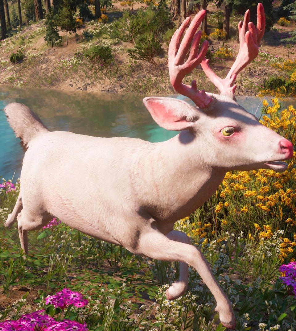 Deer Far Cry Wiki Fandom