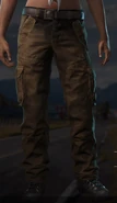 Brown Cargos