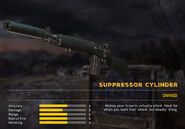 Suppressor Cylinder