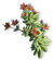 FC3 cutout starhododendron.png