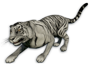 White Tiger