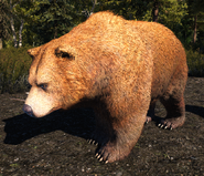 Far Cry 5 Grizzly Bear
