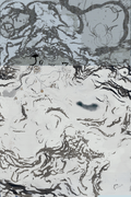 Frost map image