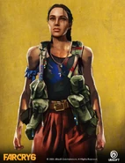 Paul-leli-6.jpg (837 KB)