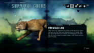 The Mountain Lion in the Far Cry 3 wildlife guide