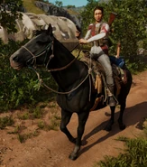 FND Soldier on Horse.jpg (333 KB) Horse