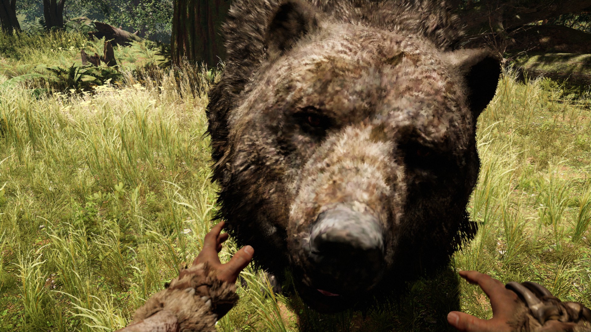 Пещерный медведь | Far Cry Wiki | Fandom