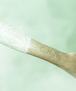 The tattoo on her left forearm, showing the molecular compound C17H21NO4, better known as cocaine, or one of the variants thereof