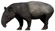 FC4 Animal (22).png (100 KB) Tapir