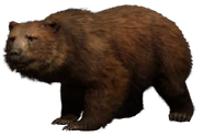 FC4 Animal (28).png (229 KB) Himalayan Brown Bear
