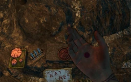 Farcry3d3d1120121130190