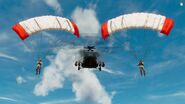 Two paratroopers airdrop.