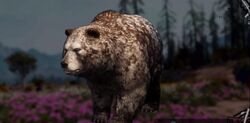 Bear Far Cry Wiki Fandom