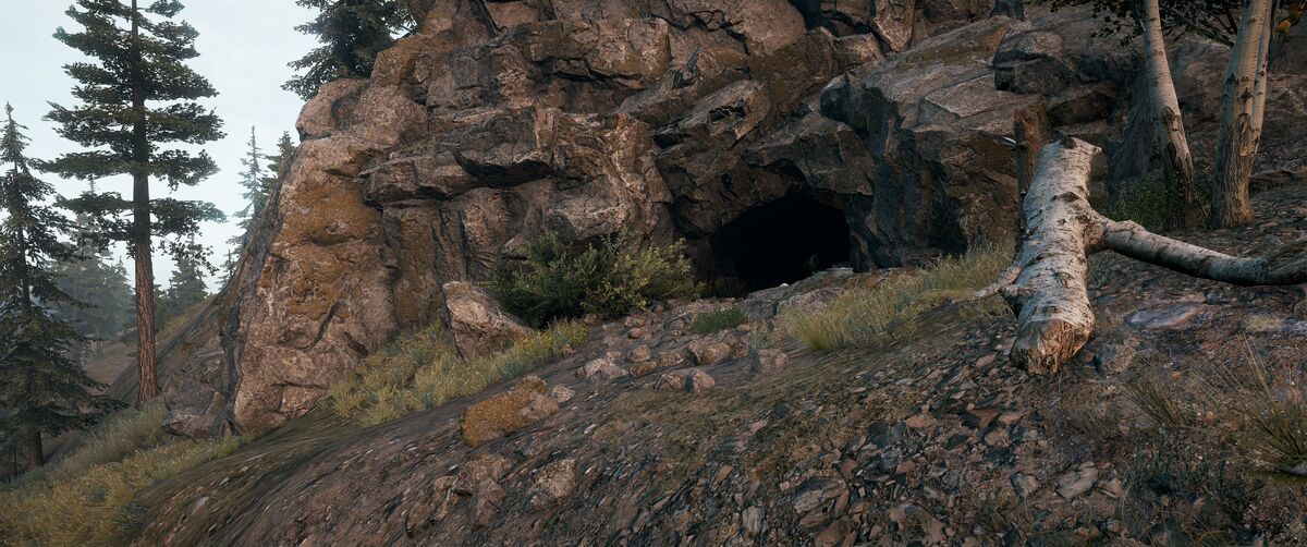 Lydia's Cave | Far Cry Wiki | Fandom