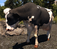 Far Cry 5 Dairy Cow
