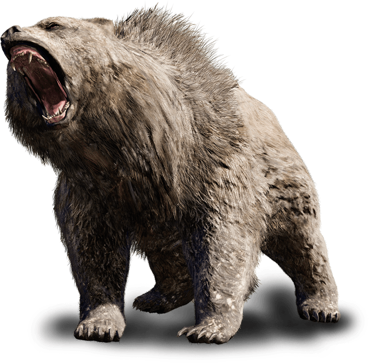 Bear Far Cry Wiki Fandom