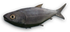 FC3 cutout perch.png