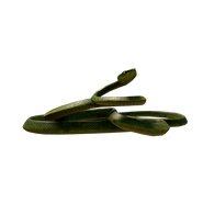 Pit Viper