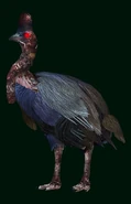 Mutated Cassowary