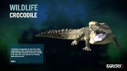 Wildlife : Crocodile in Far Cry 3