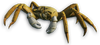 FC3 cutout crab.png