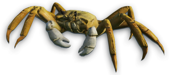 Crab Far Cry Wiki Fandom