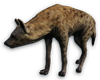 FC3 cutout hyena