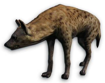 Far Cry 2 animals, Far Cry Wiki