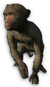 FC3 cutout macaque