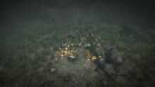 WateryGrave.jpg