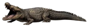 Болотный крокодил