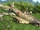 Ruined Plane/FC3