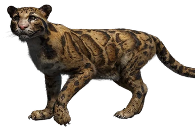 Far Cry 4 Snow Leopard