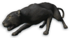 FC3 cutout blackpanther
