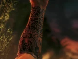 Tatau