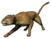 FC3 cutout mountainlion.png