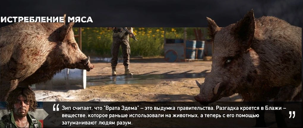 Истребление норок в дании. Фарерские острова охота на дельфинов. Массовое истребление животных. Рыбу выкидывают на камчатке. Фарерские острова забой китов.