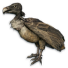 FC3 cutout vulture