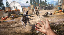 Far Cry 5 Far Cry Wiki Fandom Far Cry 5 Far Cry Wiki Fandom