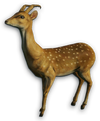 FC3 cutout spottedsika