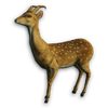 FC3 cutout spottedsika.png