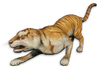 FC3 cutout goldtiger