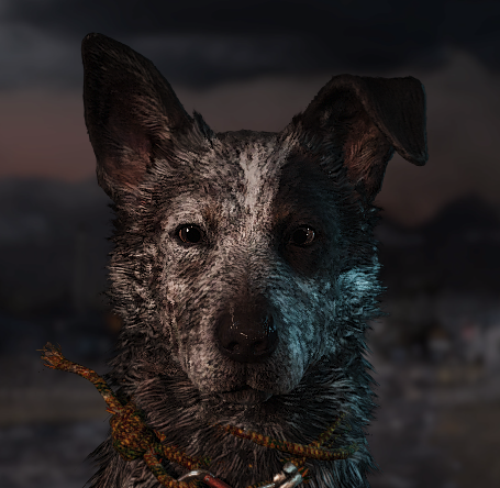 What Type of Dog is Boomer in Far Cry 5? Unleash the Breed!