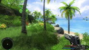 FarCry 2011-01-01 07-06-17-99