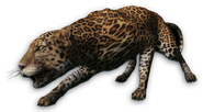 FC3 cutout leopard