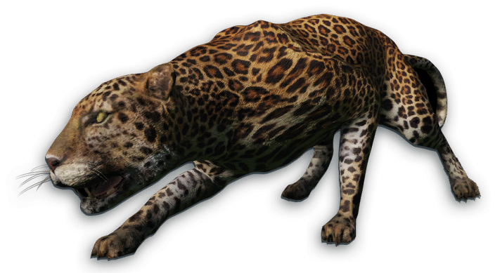 Felidae, Far Cry Wiki