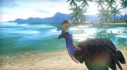 Cassowary from the trailer