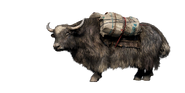 Yak