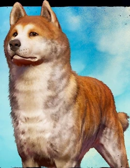 45B87294-DC52-46B1-9CCF-AA018BC7DB33